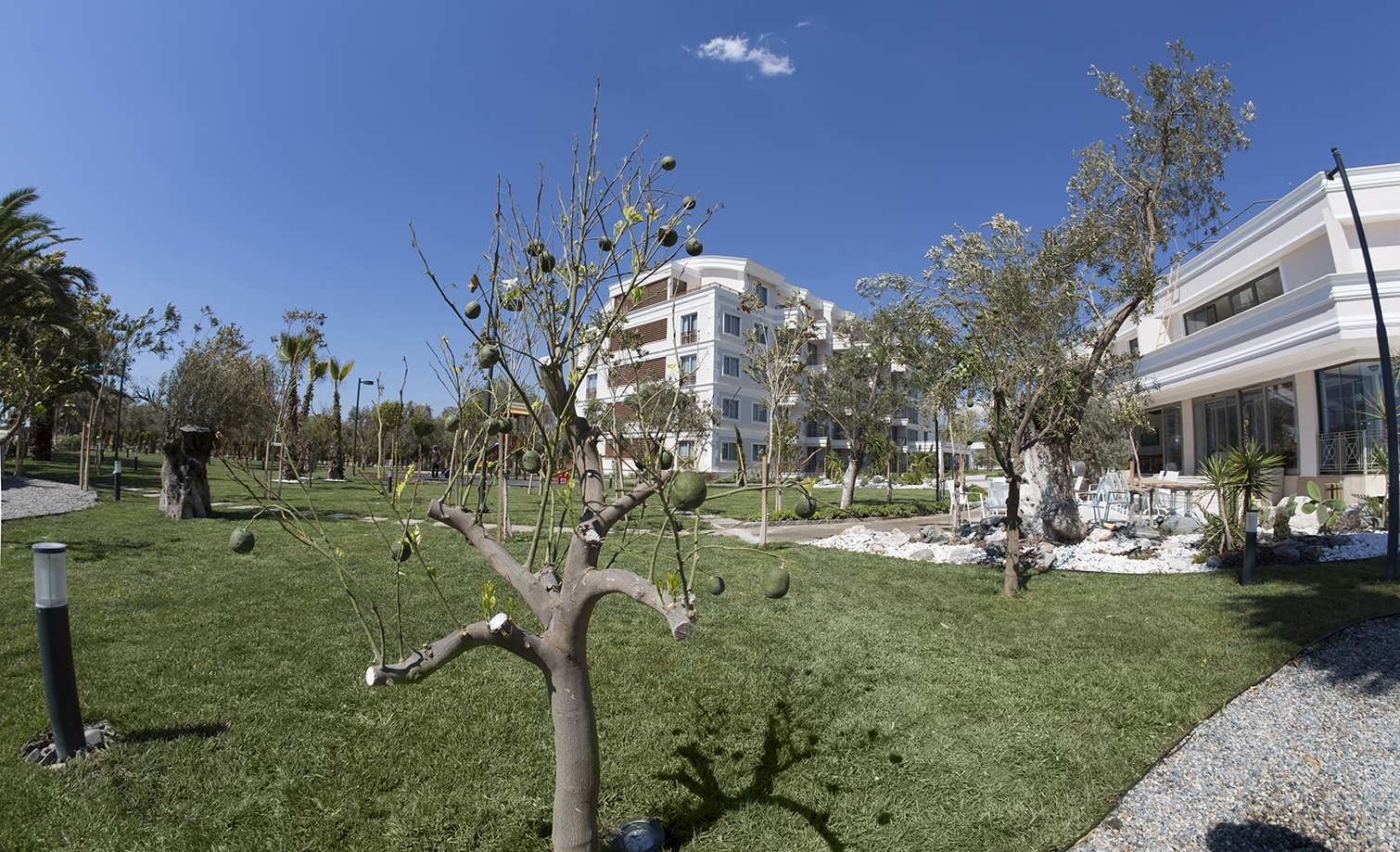 Altınoluk Rawda Hotel Bahçe Bitkileri