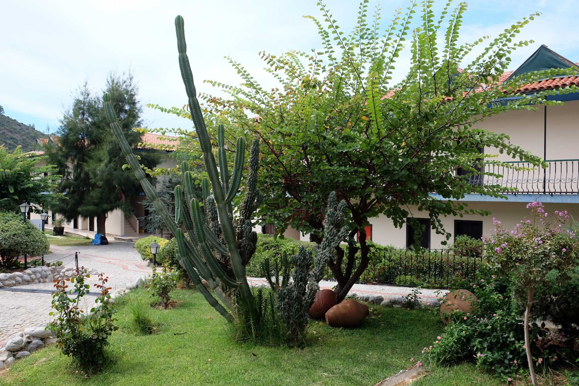 Green Antolia Club Hotel Peysaj